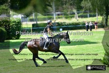 ref. photo 3278033