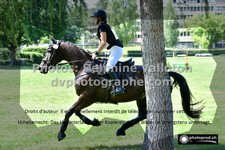 ref. photo 3278038
