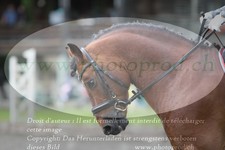 ref. photo 3179999