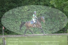 ref. photo 3180114