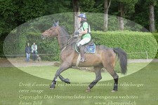 ref. photo 3180120