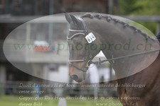 ref. photo 3180167