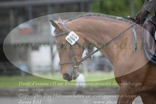 ref. photo 3180208