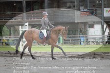 ref. photo 3180214