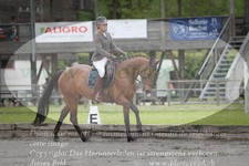 ref. photo 3180215