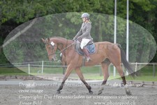 ref. photo 3180245