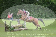 ref. photo 3180279