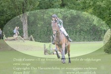 ref. photo 3180374