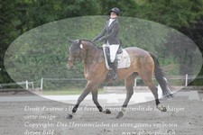 ref. photo 3180434