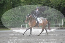 ref. photo 3180440