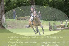 ref. photo 3180452