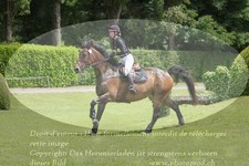ref. photo 3180460