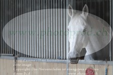 ref. photo 3180513
