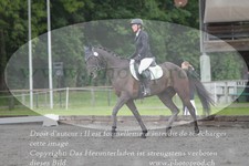 ref. photo 3180933