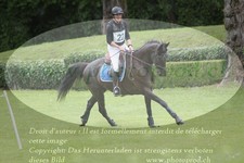 ref. photo 3180988