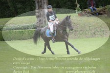ref. photo 3180989