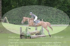 ref. photo 3181010