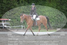 ref. photo 3181065