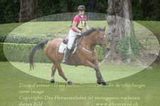 ref. photo 3181079