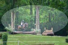 ref. photo 3181202