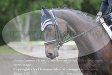 ref. photo 3181221