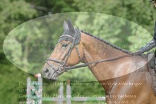 ref. photo 3181249