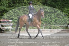 ref. photo 3181258