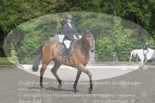 ref. photo 3181261
