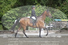 ref. photo 3181270