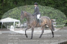 ref. photo 3181303