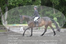 ref. photo 3181306