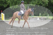 ref. photo 3181415