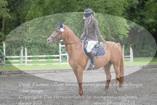 ref. photo 3181432