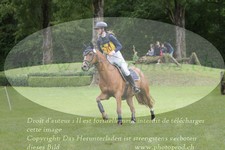 ref. photo 3181442
