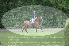 ref. photo 3181443