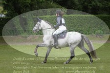 ref. photo 3181499
