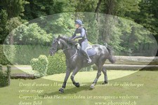 ref. photo 3181530