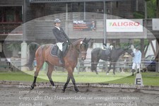 ref. photo 3181543