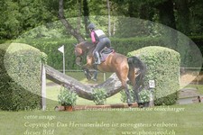 ref. photo 3181561