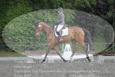 ref. photo 3181632
