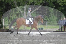 ref. photo 3181639