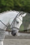 ref. photo 3181684