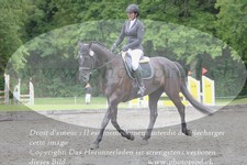 ref. photo 3181711
