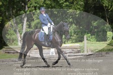 ref. photo 3182026
