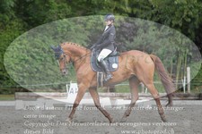ref. photo 3182049