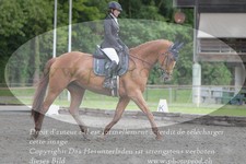 ref. photo 3182066