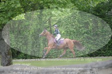ref. photo 3182073