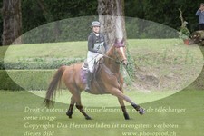ref. photo 3182075
