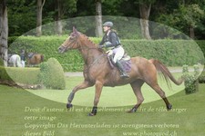 ref. photo 3182085
