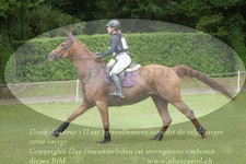 ref. photo 3182086